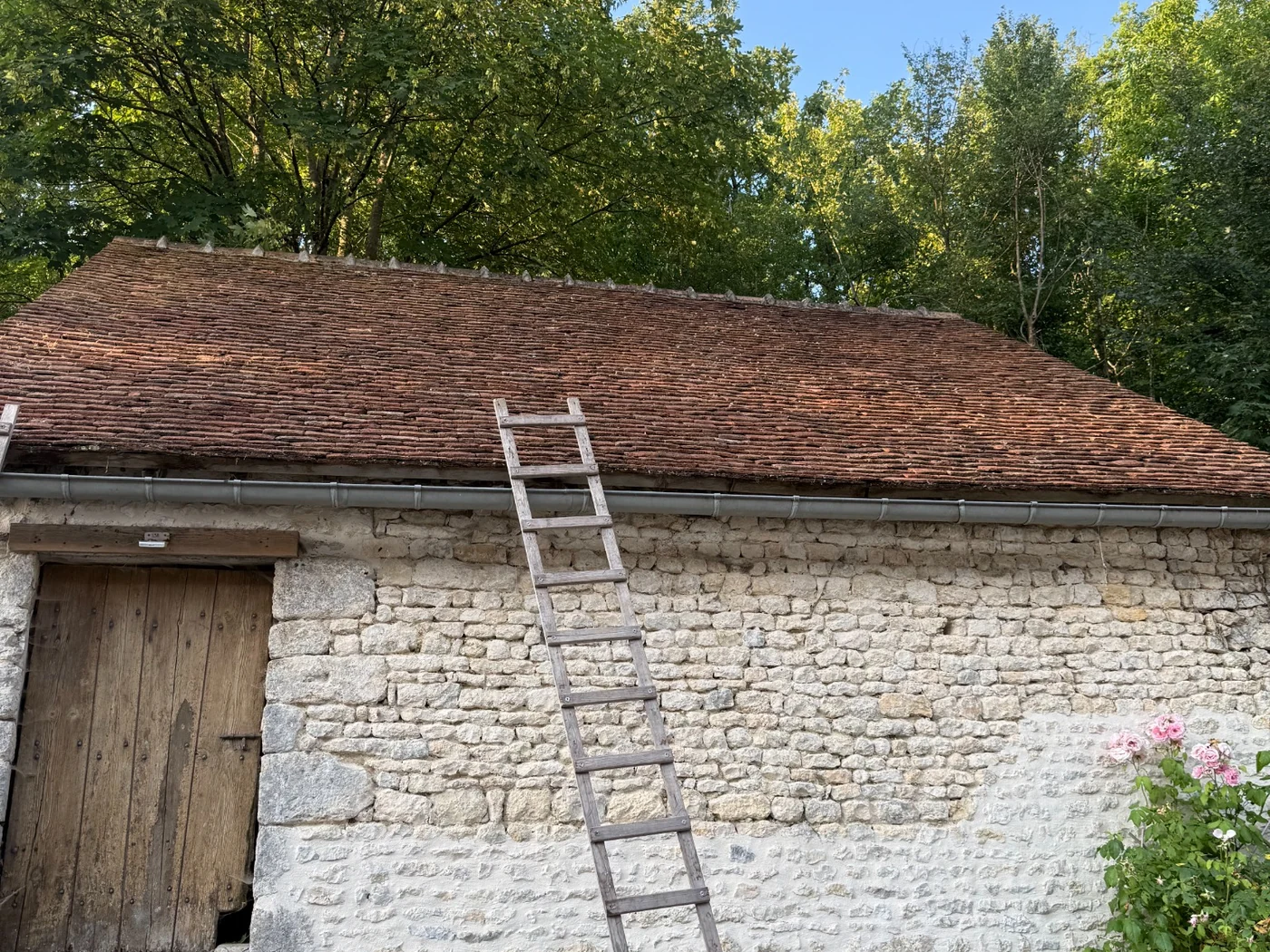 Démoussage terminé sur un garage couvert en tuiles plates