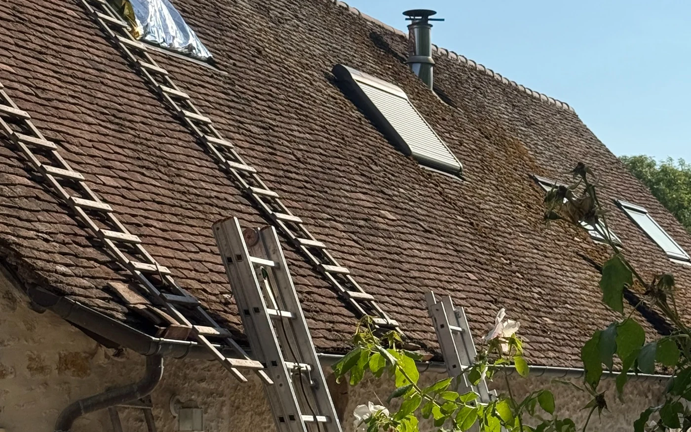 Installation d'échelles plates pour réaliser un démoussage manuel de toiture